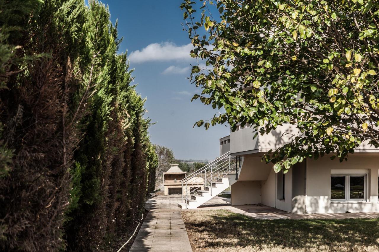 μodern With Big Garden Apartment *